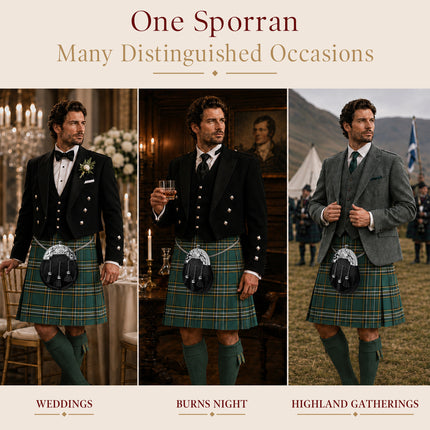 Formal Black Bovine Sporran with Chrome Lion Rampant Cantle