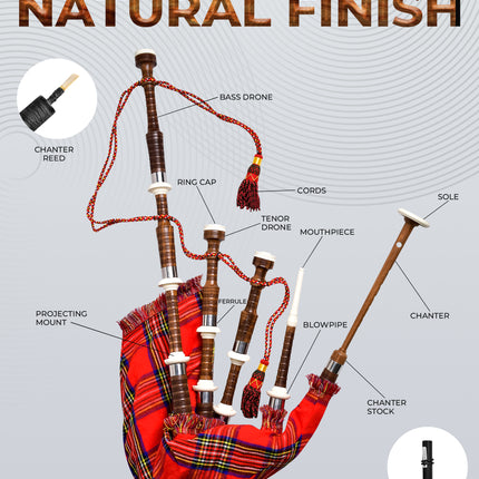 Full Size Cocuswood Bagpipe with Box | Royal Stewart