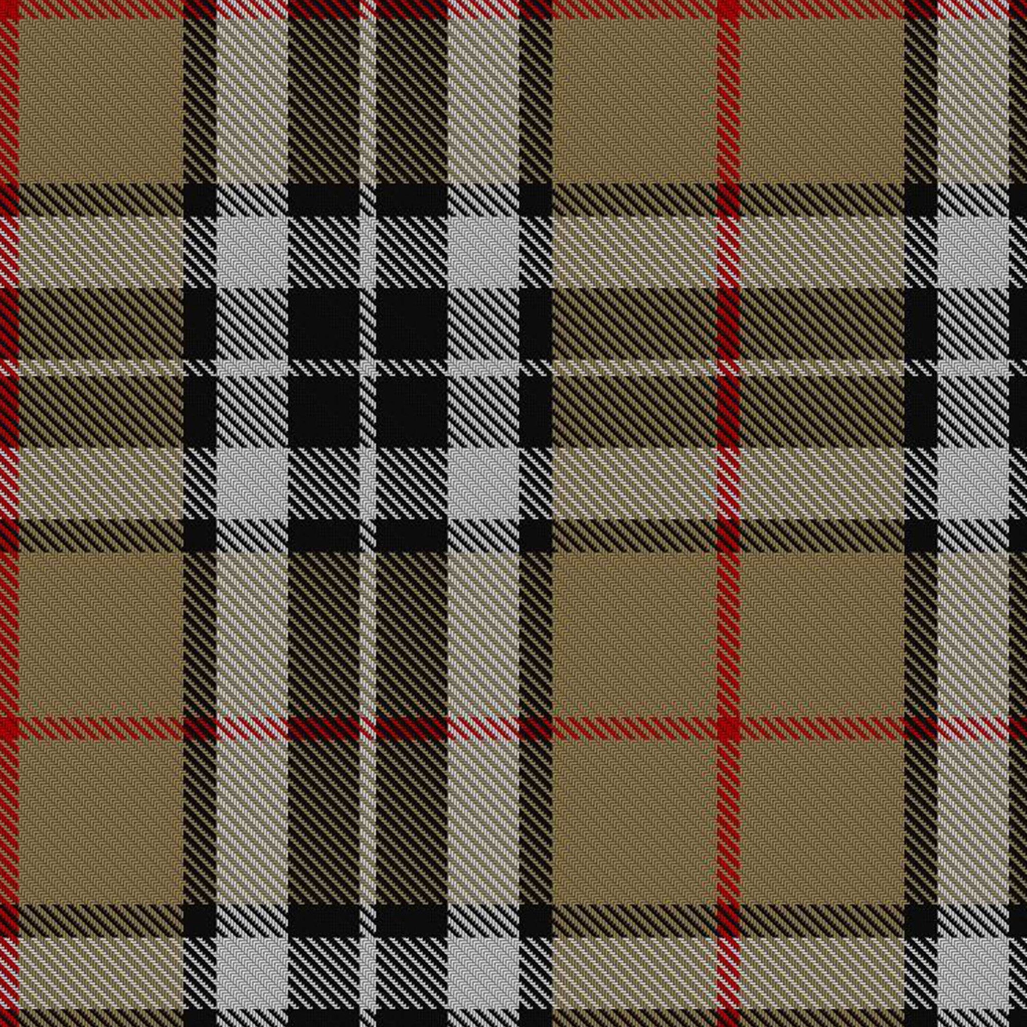 Camel Thomson Tartan Fabric and Accessories - Highland Redstone