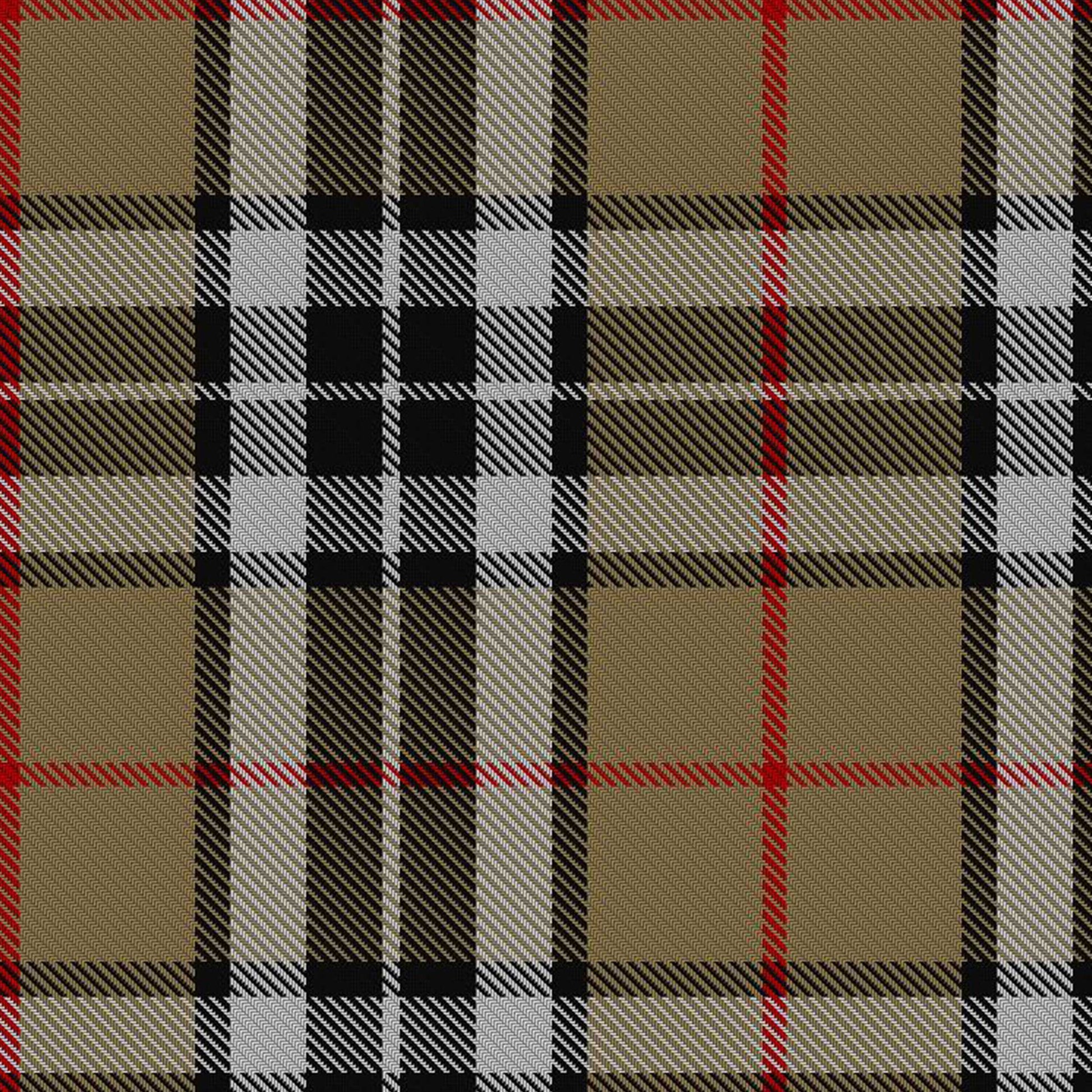 Camel Thomson Tartan Fabric and Accessories - Highland Redstone