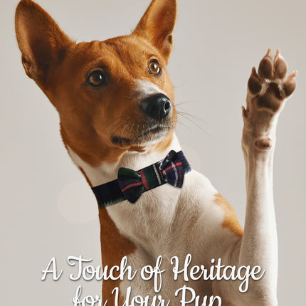 Dog Collar and Leash Set –  Scottish National
