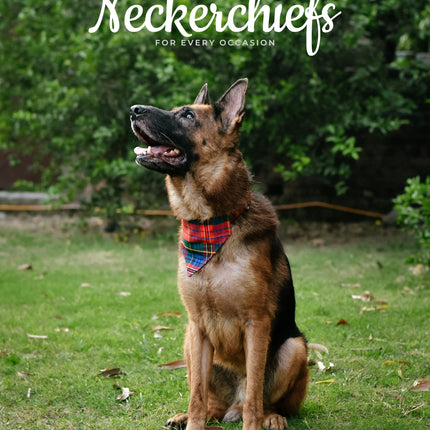 Dog Collar and Leash Set –  Macpherson Red