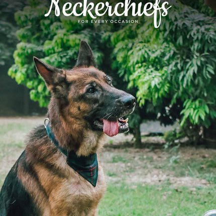 Dog Collar and Leash Set –  Scottish National