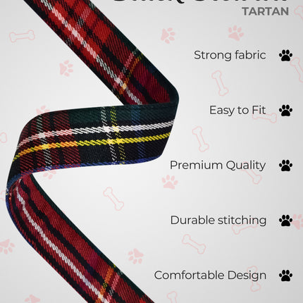 Dog Collar and Leash Set – Black Stewart