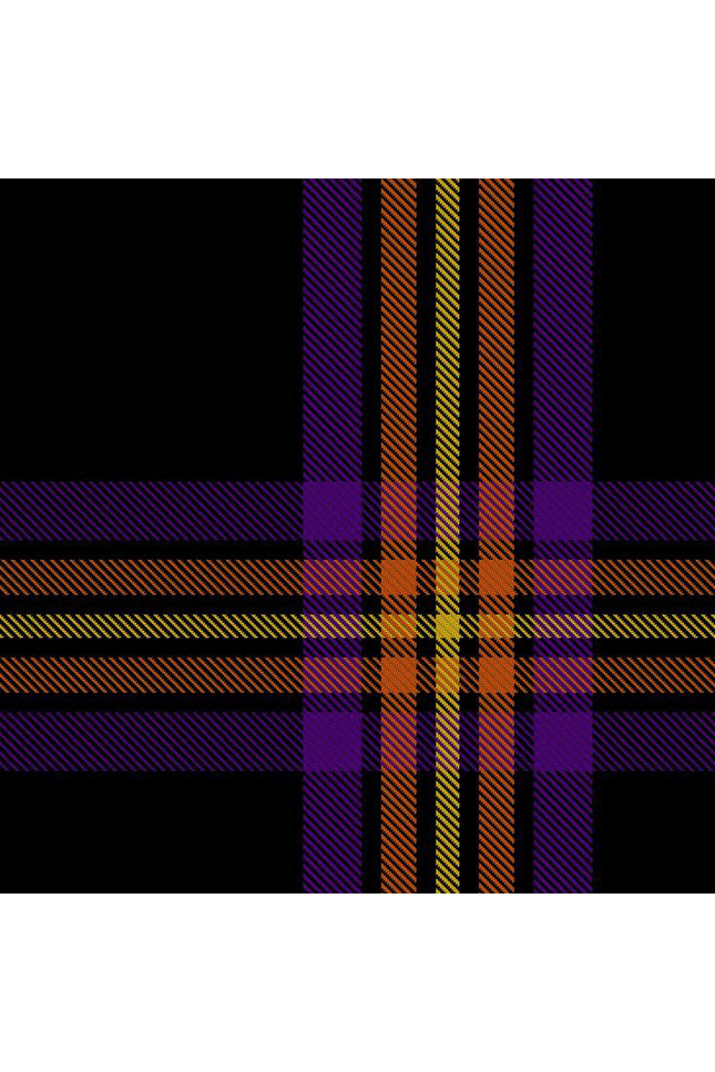 FAN X Tartan Kilt showcasing a unique and stylish tartan pattern, made from high-quality fabric.